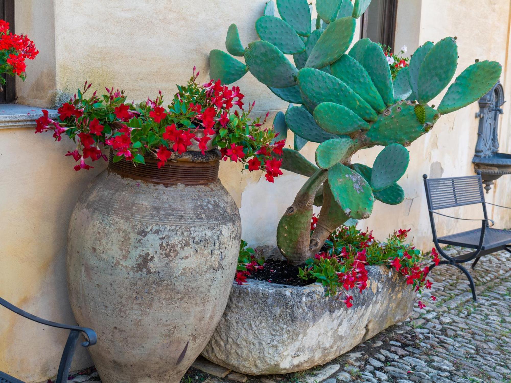 Aparthotel Baglio Fontana